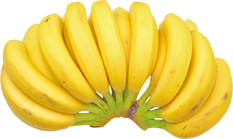 皮ごと食べられる極上バナナ　吹田バナナ